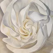 RENÉE SWITKES, Gardenia; Harmony (2022)