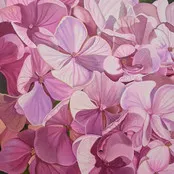 RENÉE SWITKES, Hydrangea; Thirst For Life (2021)