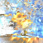 Sharon Becker