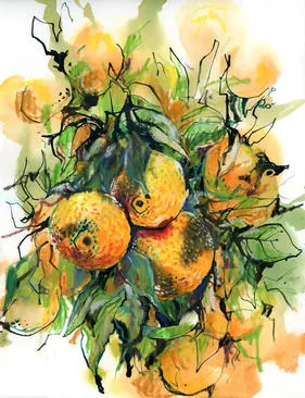 entry-16-Suhita Shirodkar_oranges_color_texture_small.jpg