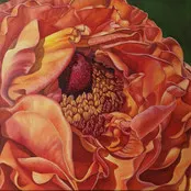 RENÉE SWITKES, Peony; Vulnerability (2021)